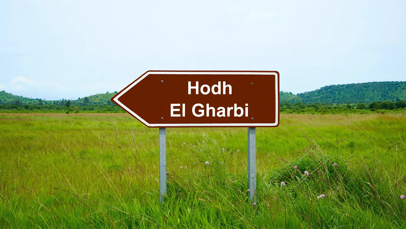 Hodh El Gharbi
