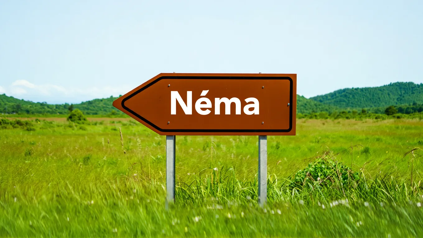 NEMA